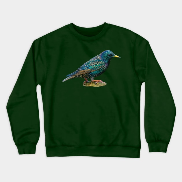 Starling Crewneck Sweatshirt by dalyndigaital2@gmail.com